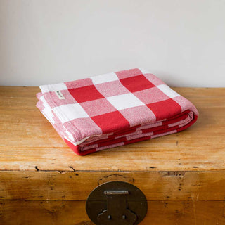 Gingham XL Check Blankets