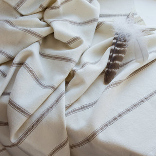 Casa Branca x Swans Island Branca Ticking Throws
